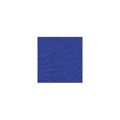 5598 - capriblau
