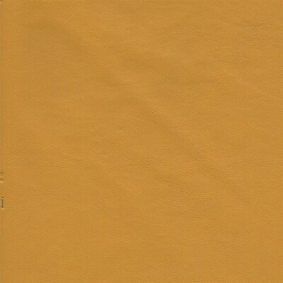 8384 - mango