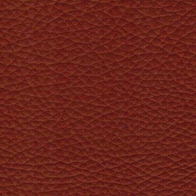 2600 - cognac