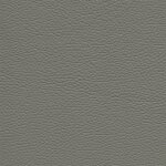 1638 - platin