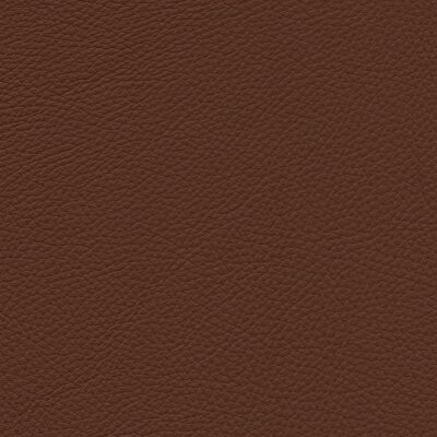 2600 - cognac