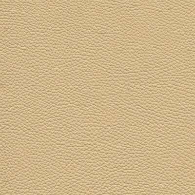 3753 - creme-beige