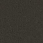 7147 - oliv