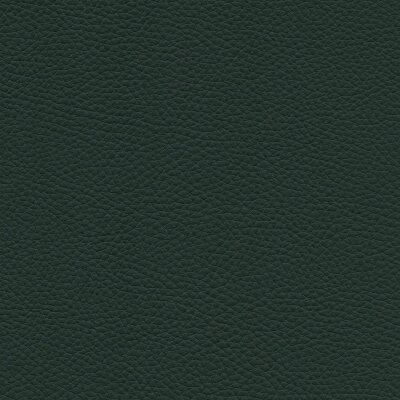 7242 - forest