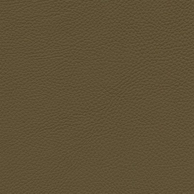 7612 - kiwi