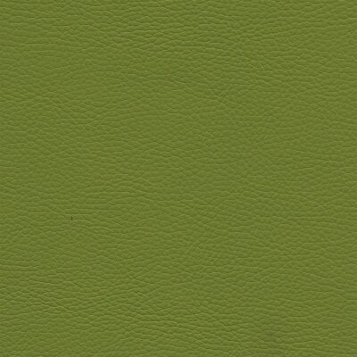 7688 - apple