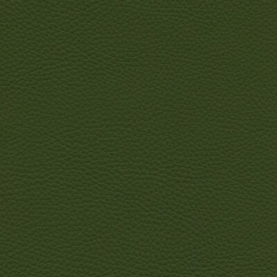 7711 - civaia