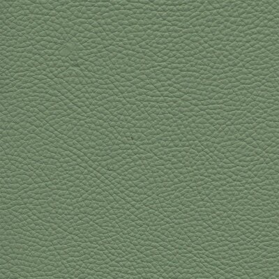 7830 - mint