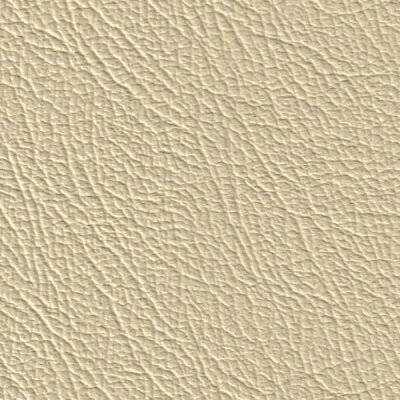 3659H - champagner