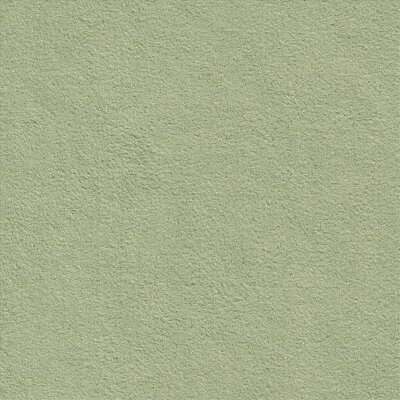 9048 fern green