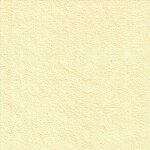 9040 cream
