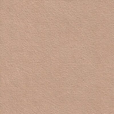 9079 callot rose