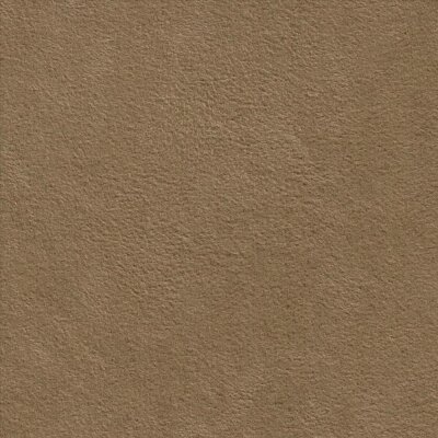 9121 camel