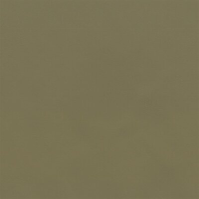 3160 - camel