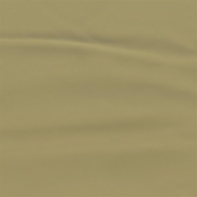 3477 - champignon
