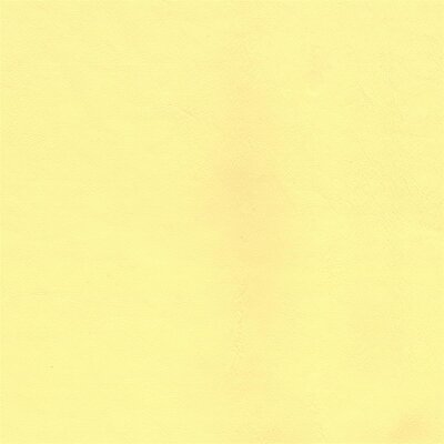 3660 - champagner
