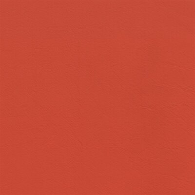 4880 - tropic orange