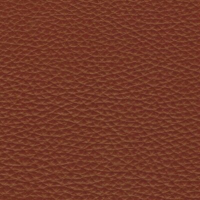 2584 - inca