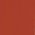 4774 - lachs