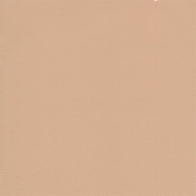3520 - biscuit