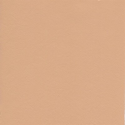 3469 - sahara