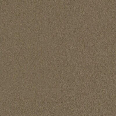 7816 - khaki