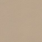 1602 - samtbeige