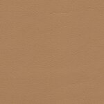 1241 - kaschmirbeige