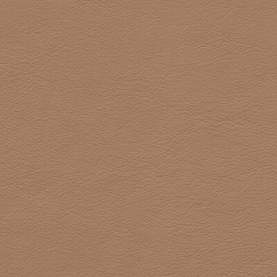 1233 - sandbeige