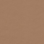 1233 - sandbeige