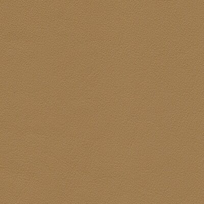 1227 - savannabeige