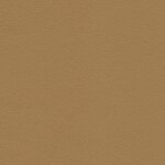 1227 - savannabeige