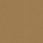 1227 - savannabeige