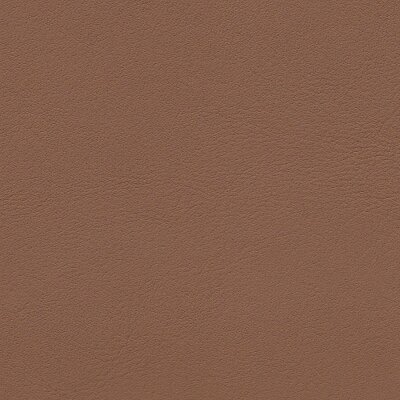 1237 - havanna