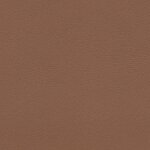 1237 - havanna