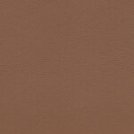1237 - havanna