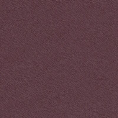 1211 - magenta