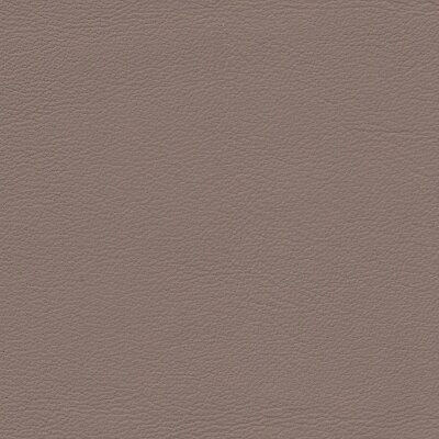 1252 - tartufo hell