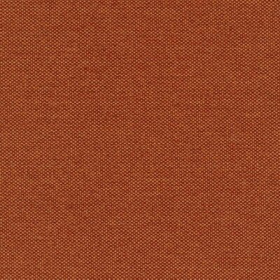 39 - apricot