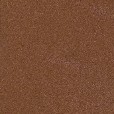 2699 - cognac hell