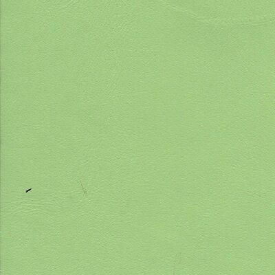 7893 - pistazie