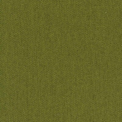 48 - kiwi
