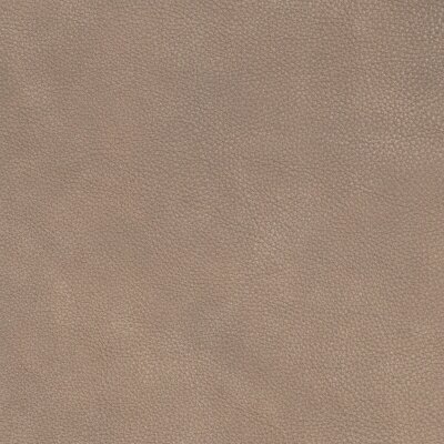 2453 - beige leigt