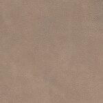 2453 - beige leigt