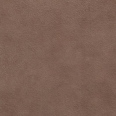 2249 - chestnut
