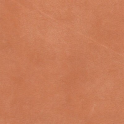 2810 - cognac