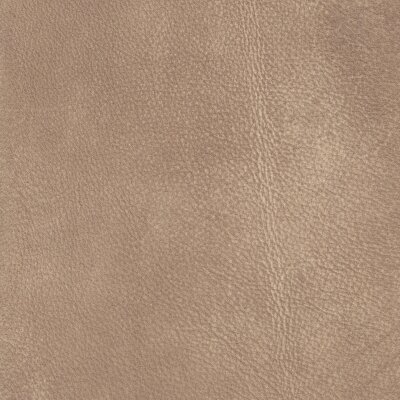 2443 - beige