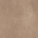 2443 - beige