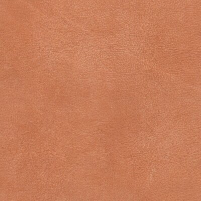 2810 - cognac