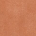 2810 - cognac